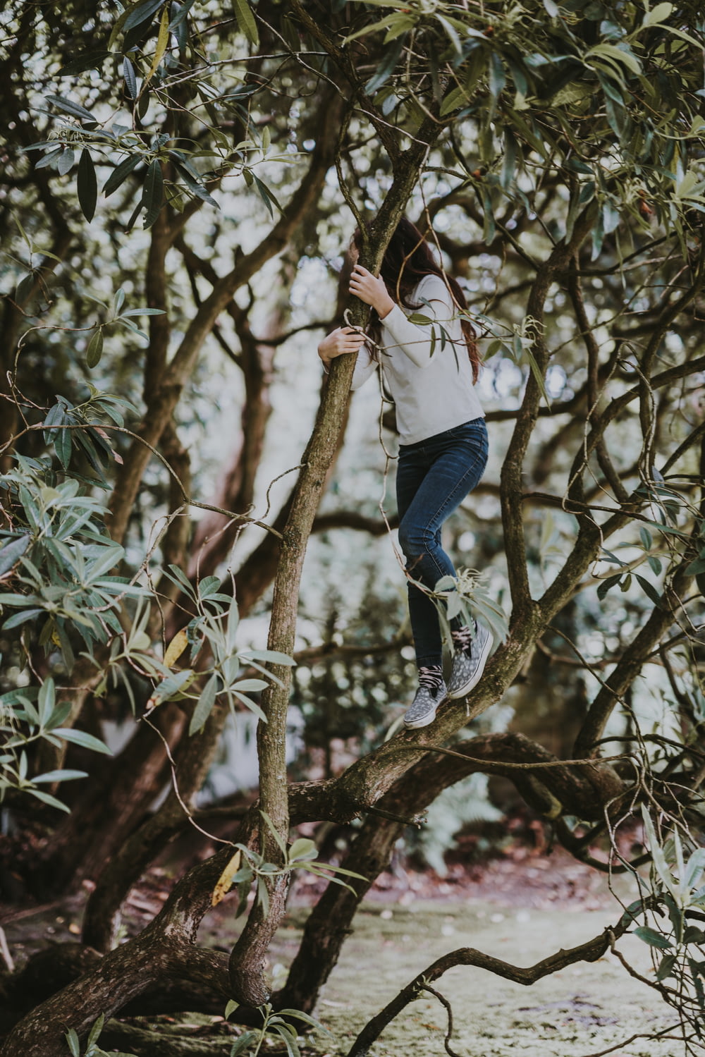 tilt shift photography of woman on tree trunk