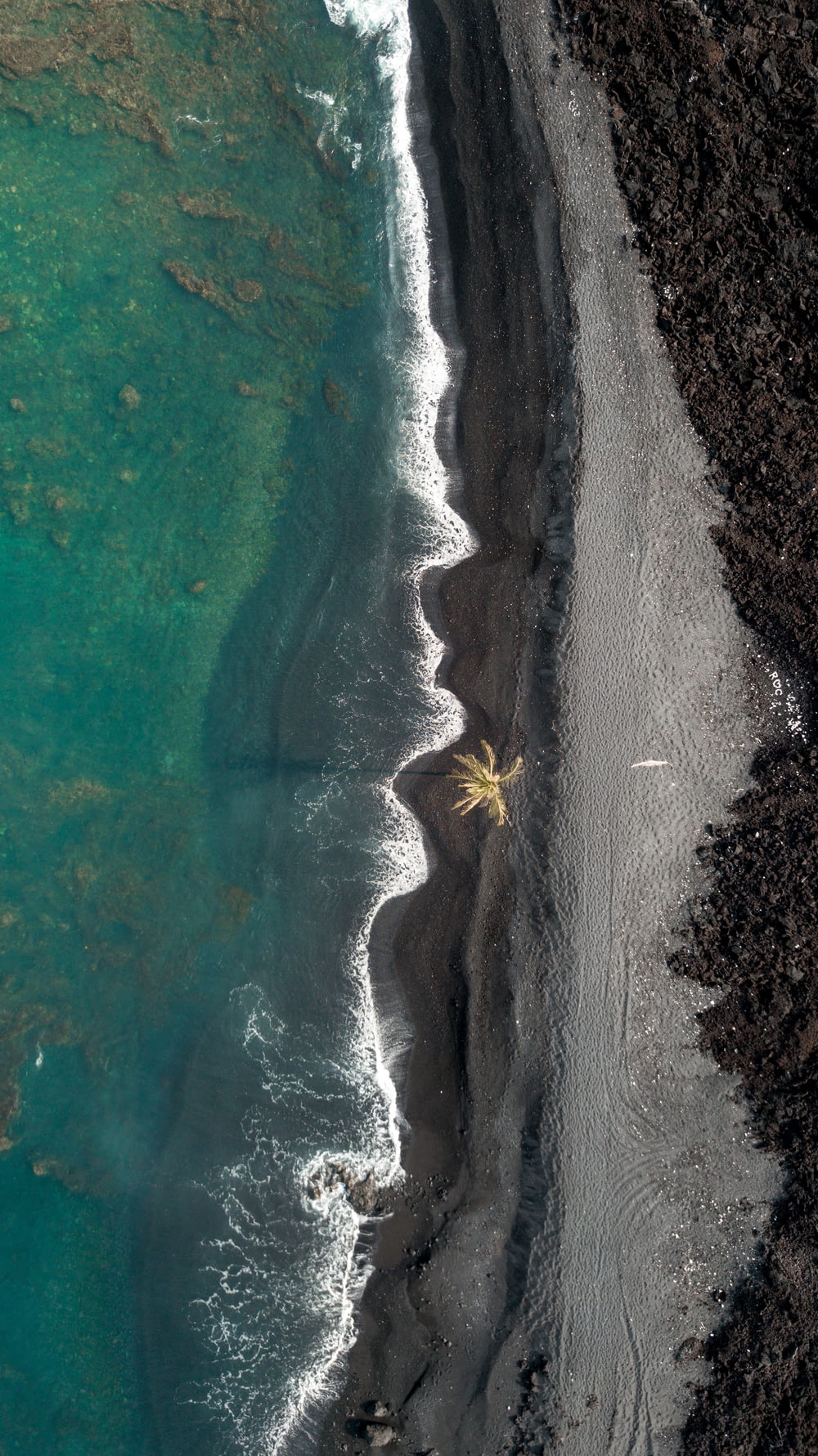 aerial photography of beachside