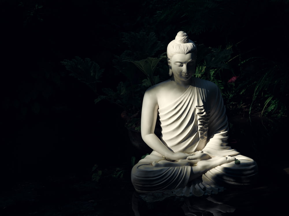 estatua blanca de Buda en el cuerpo de agua