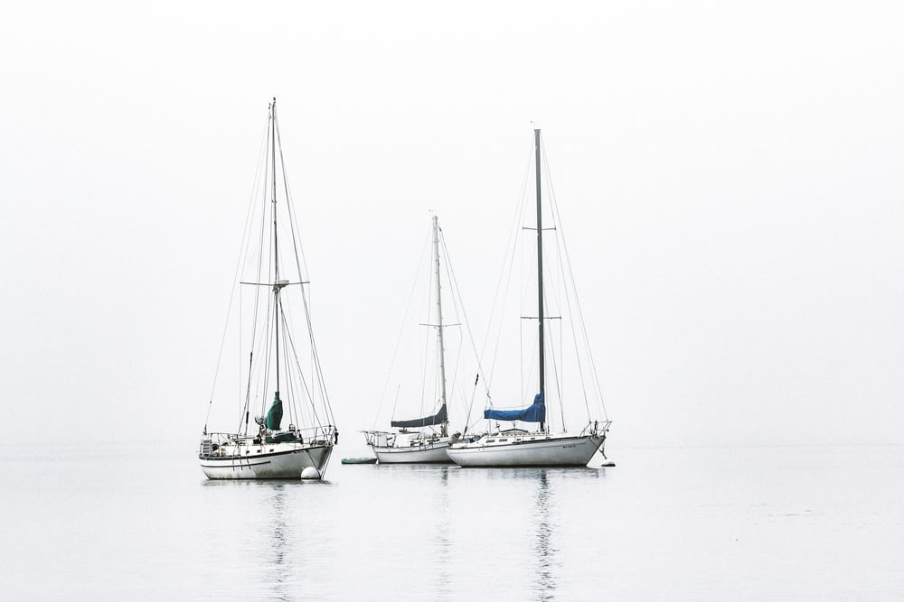 three white boats on sea during daytime