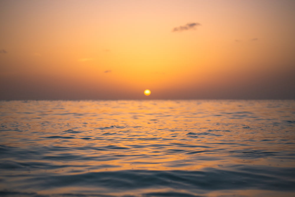ocean during golden hour