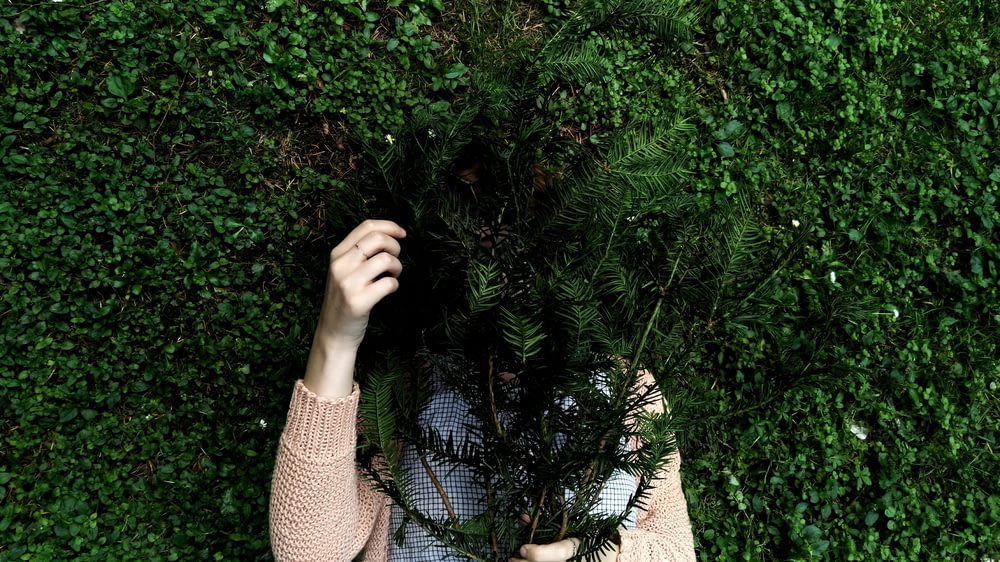 persona que se esconde detrás de una planta de hojas verdes