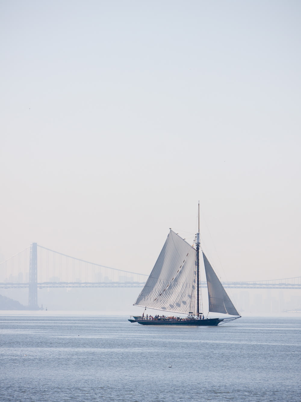 photo of white and black sailboat during daytime