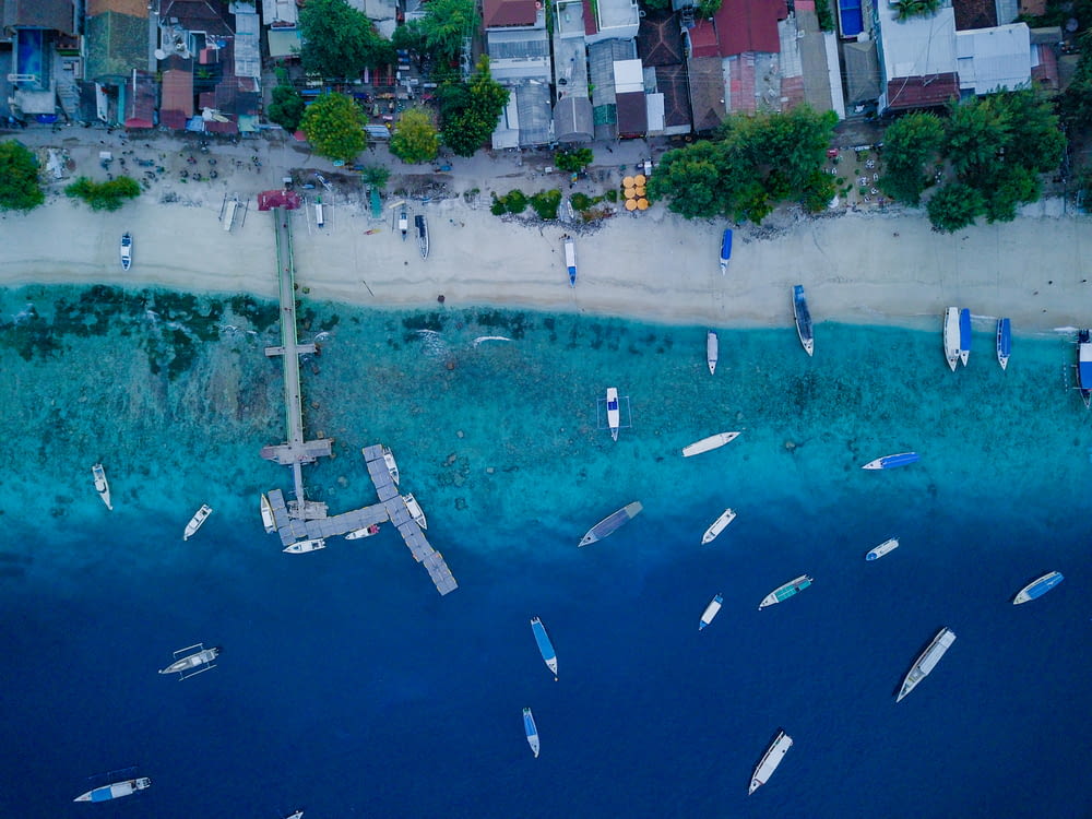bird's-eye view of boats on seashore near houses