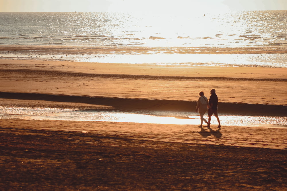 two person walking beside beach