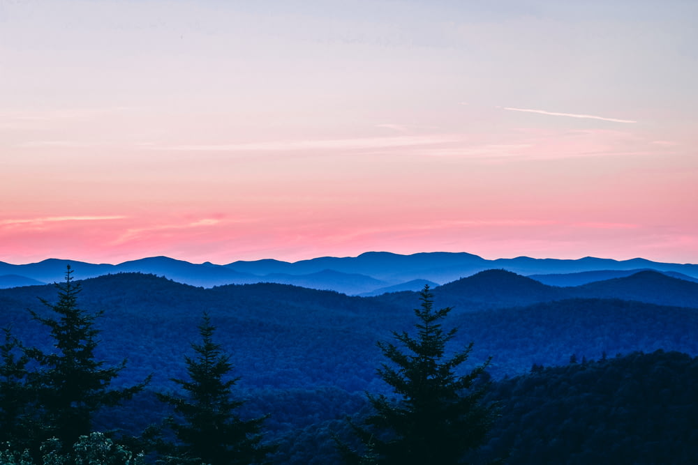trees covered mountain taken under pink sky during sunset