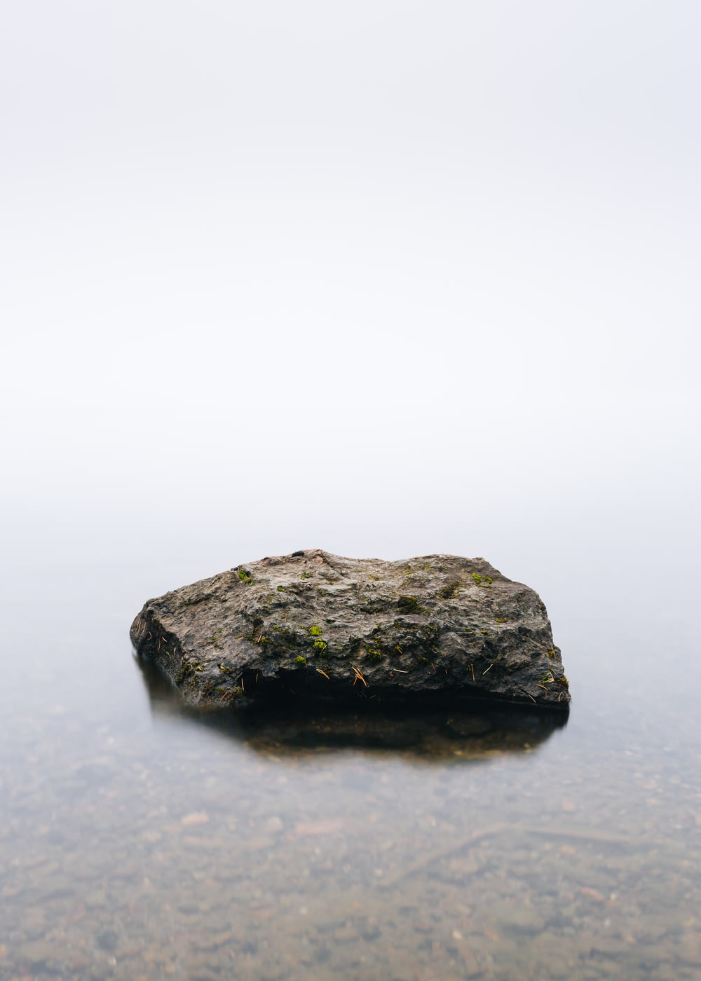 brauner Stein in ruhigem Gewässer