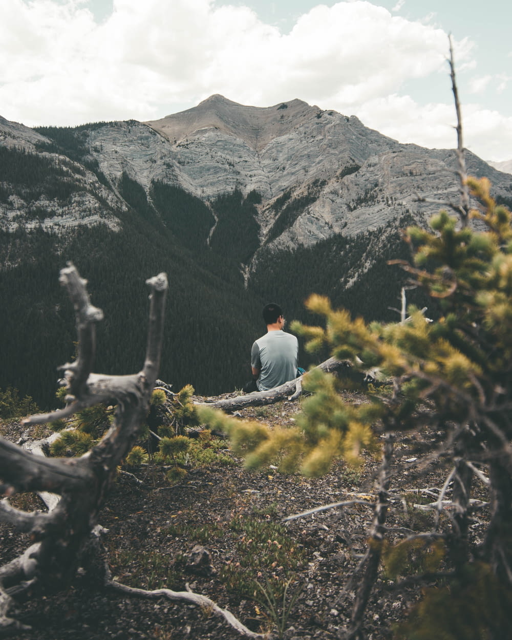 man sitting in front of mountain facing backwards