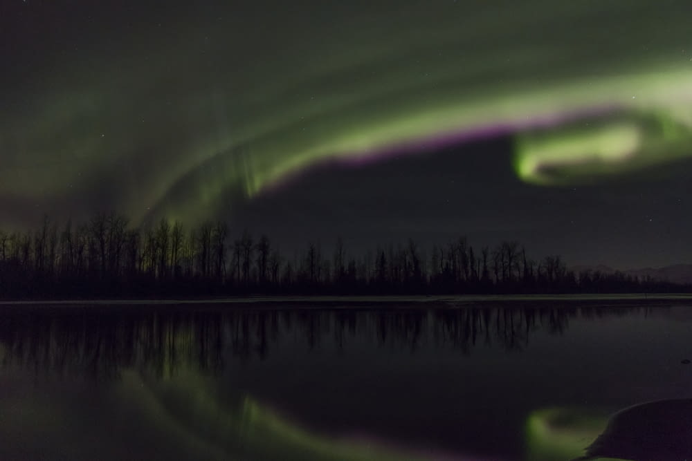 a green and purple aurora over a lake