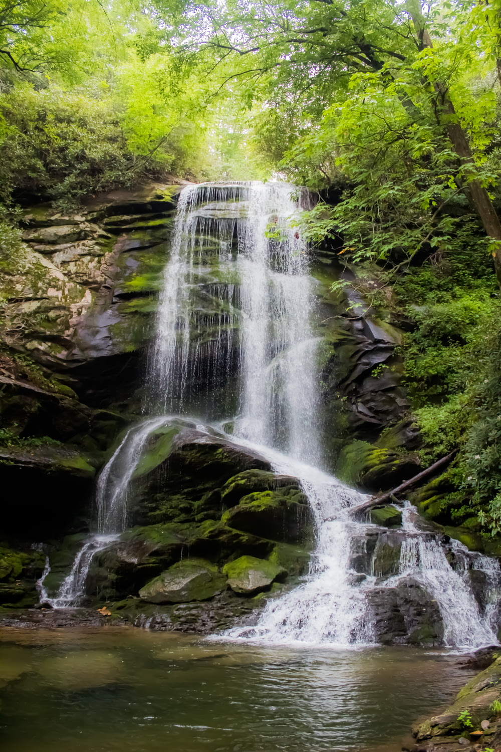 waterfalls between green trees