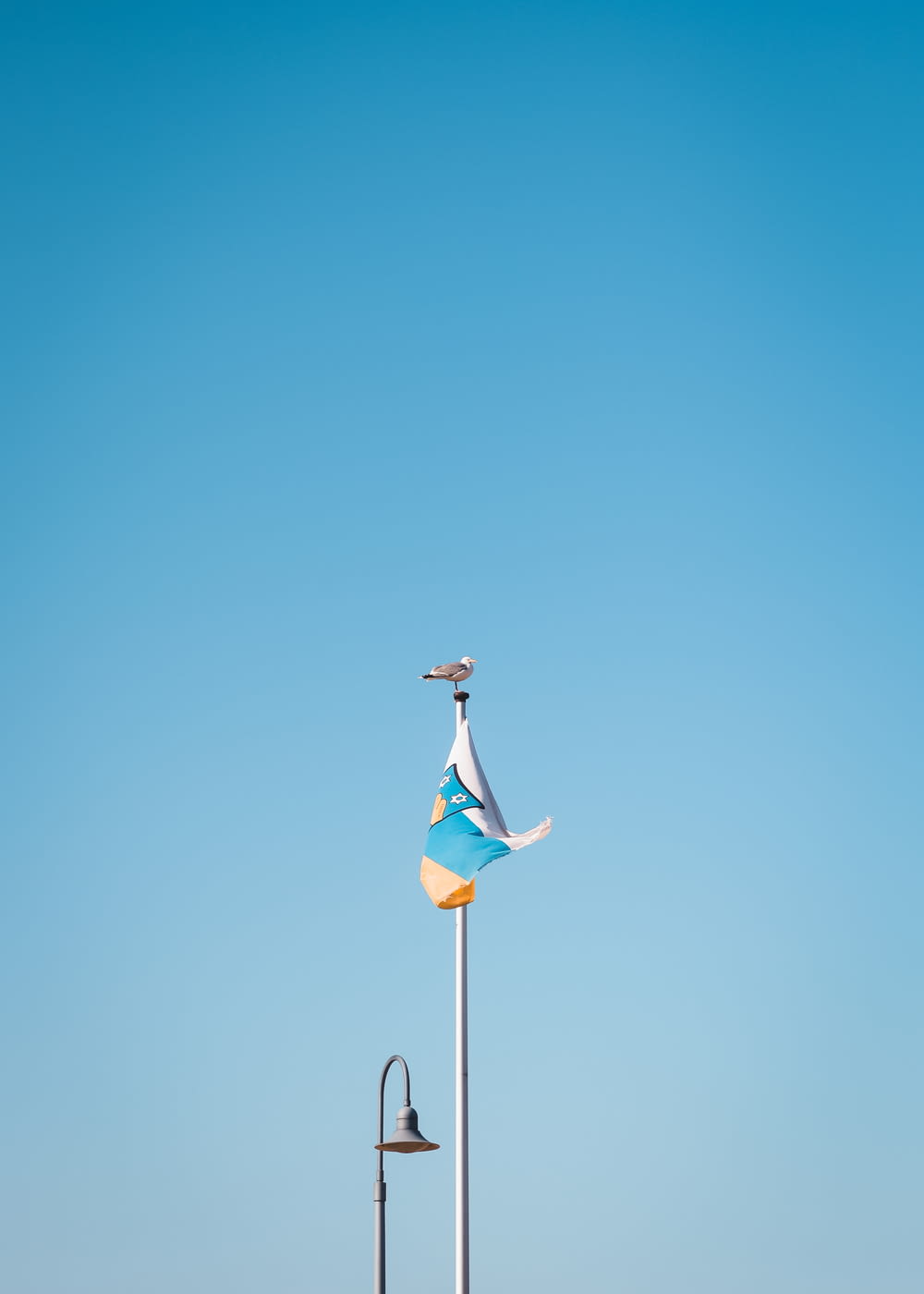 bird perched on flag pole with flag during day