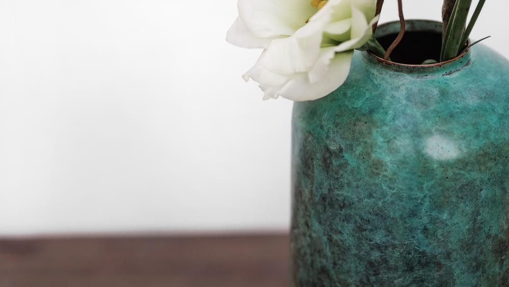 white petaled flower in green ceramic vase