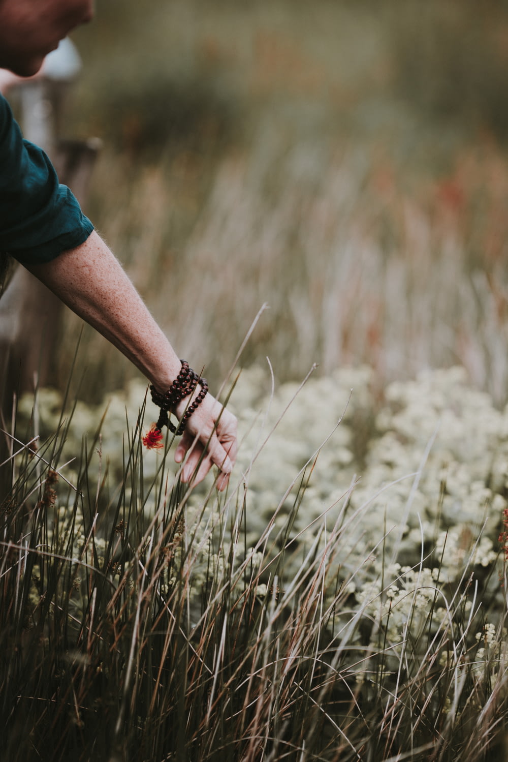 a person reaching for a flower in a field