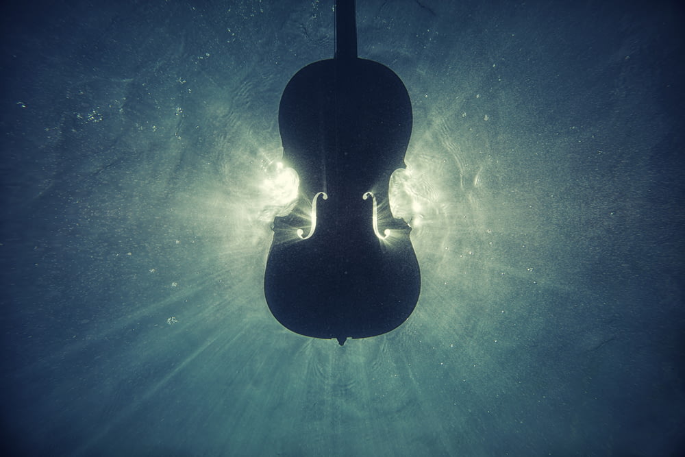 schwarze violine auf digitalem hintergrundbild unter wasser