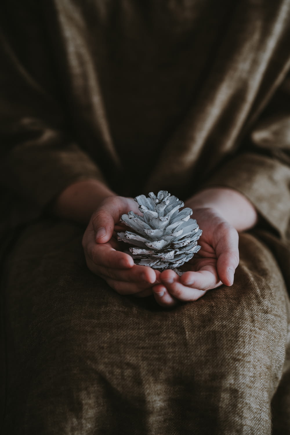 person holding white pinecone with both hands