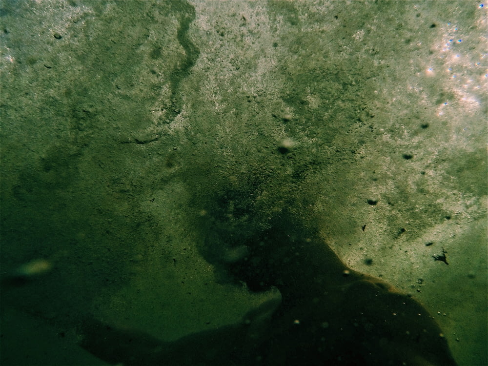 Unterwasserfotografie