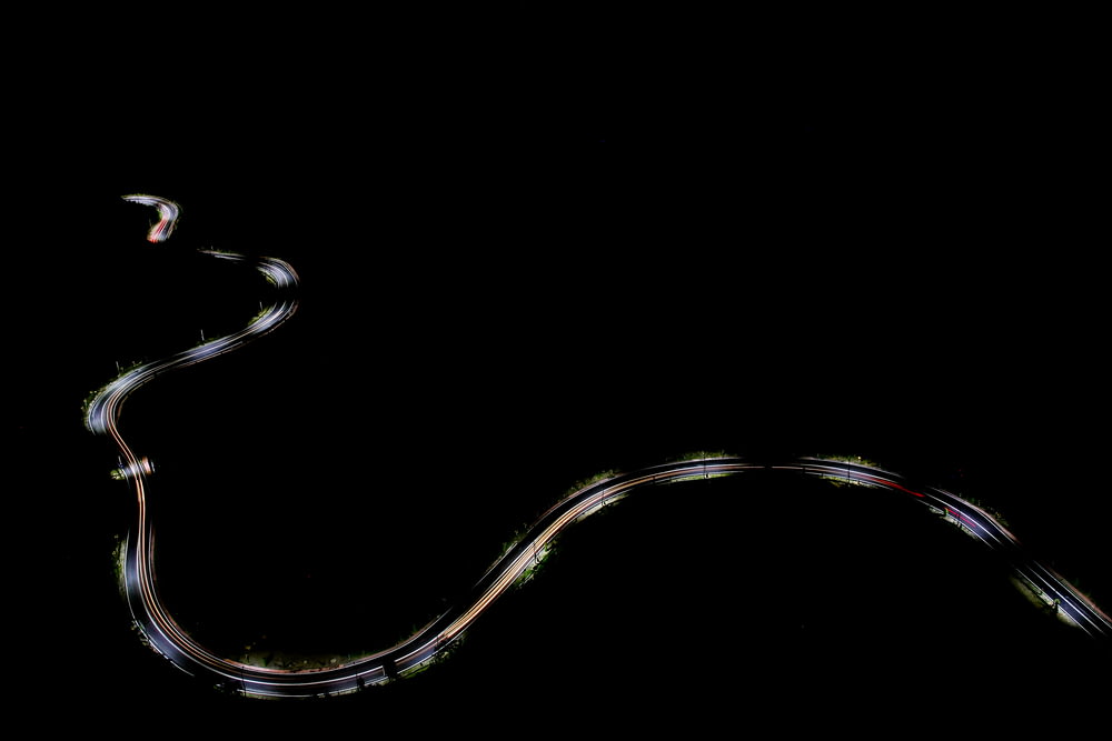 fondo de pantalla digital serpiente en blanco y negro