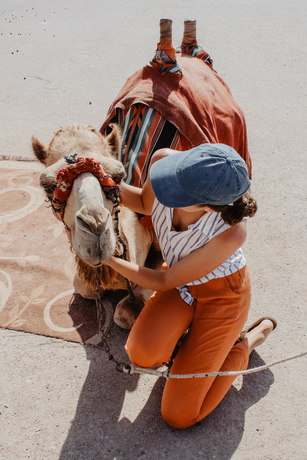 Mulher ajoelhada no chão ao lado do camelo marrom