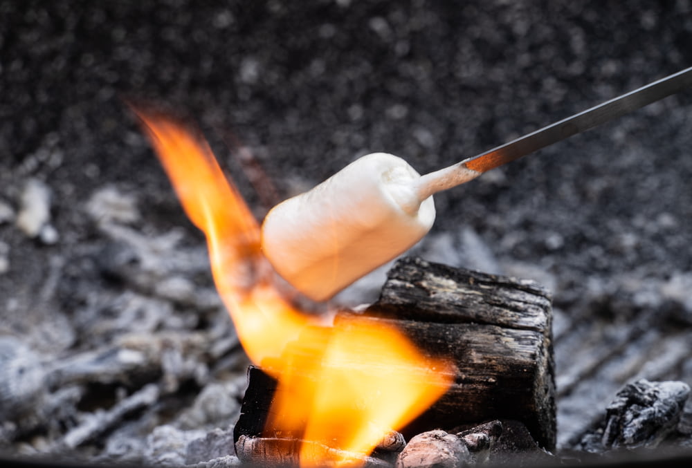 closeup photography of burning skewered marshmallow