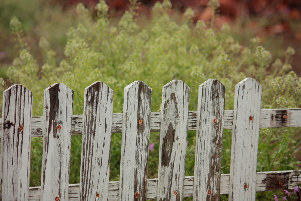 selective focus photography of wooden fence