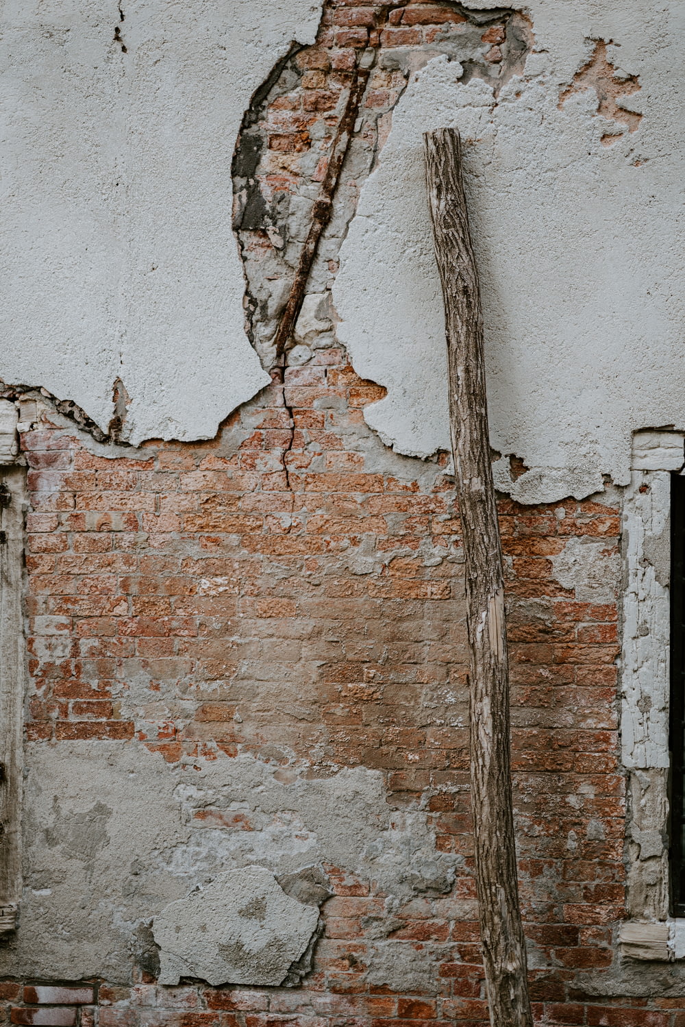 灰色と茶色のコンクリートの壁に寄りかかる茶色の木の枝