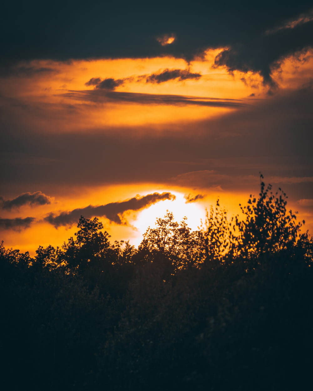landscape photo of sunset view
