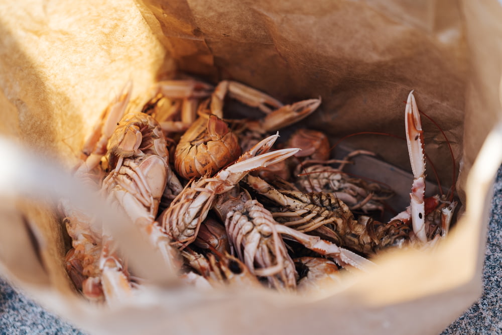 cangrejos en bolsa de papel marrón