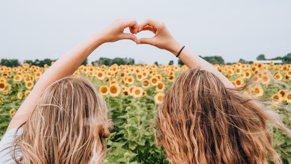 two women forming heart-shape using hands fronting sunflower field during daytime