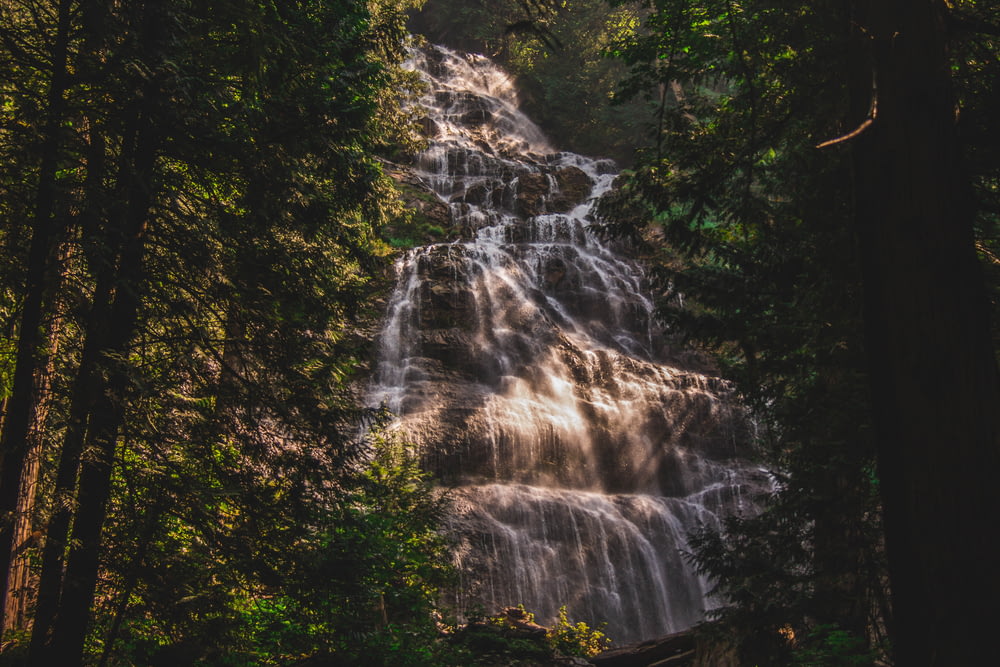 waterfalls near trees at daytime