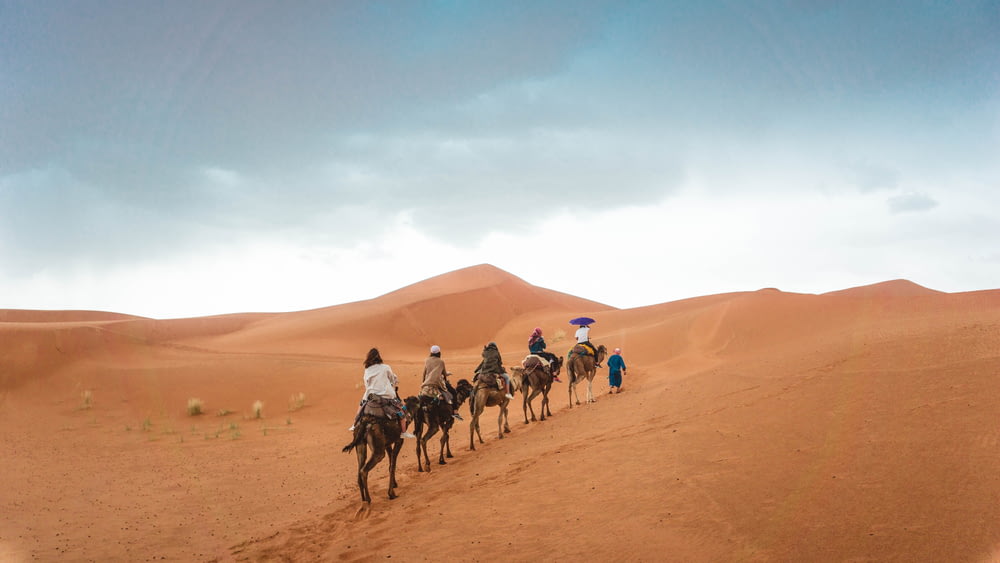 group of people riding camels on desert