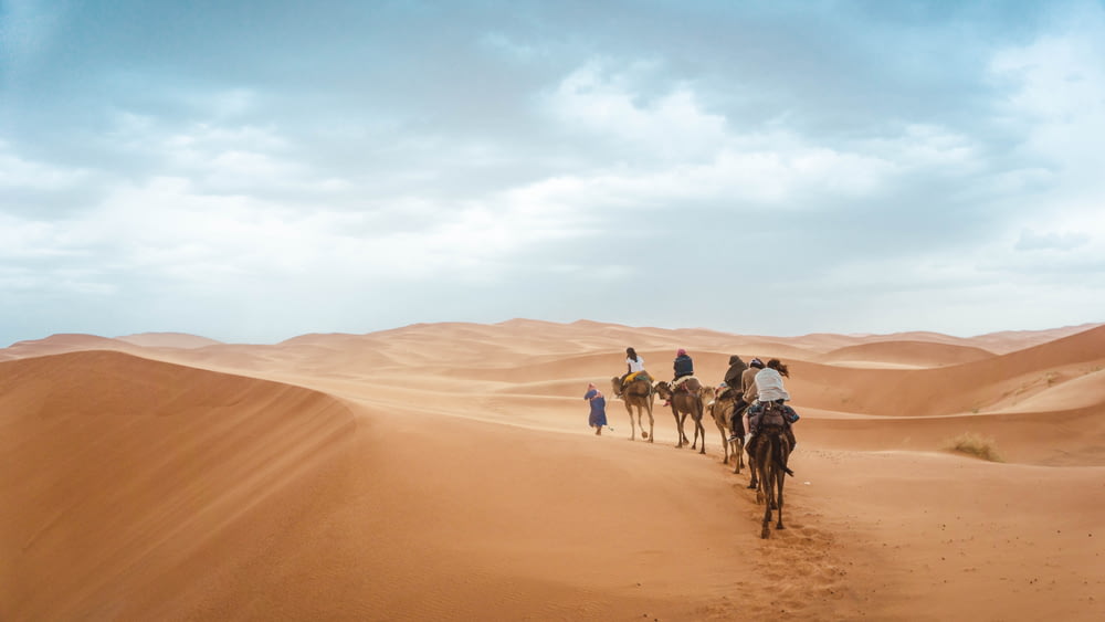 grupo de pessoas montadas em camelos