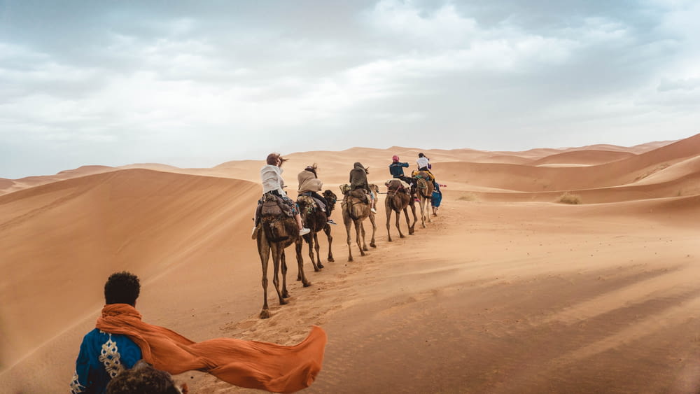 várias pessoas montando camelos no deserto durante o dia