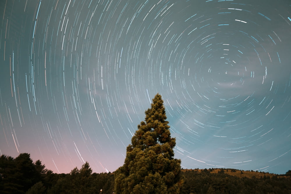 星と松の木の長時間露光写真