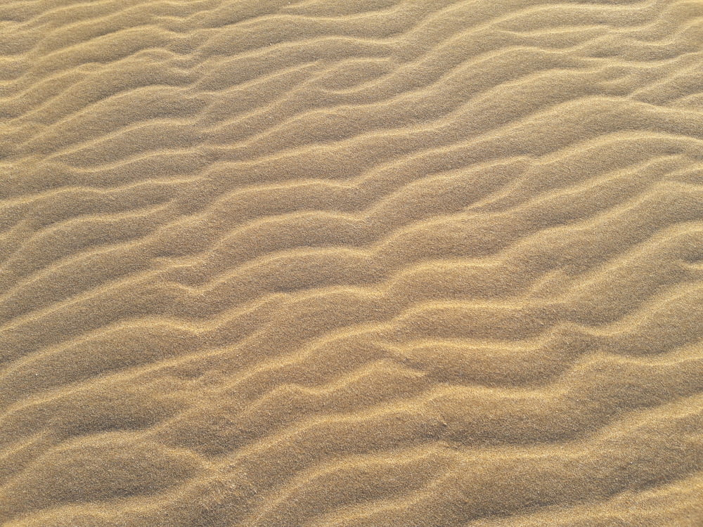 close-up photo of sand