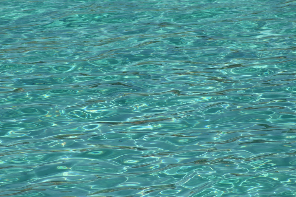 rippling body of water