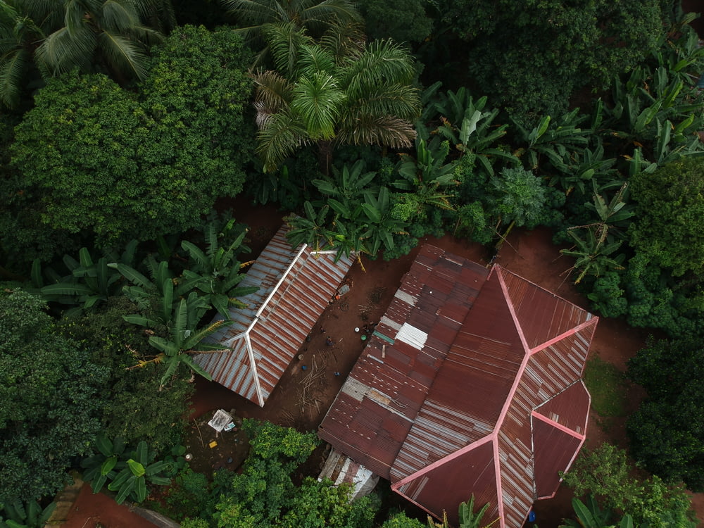 aerial photo of house surrounded with trees