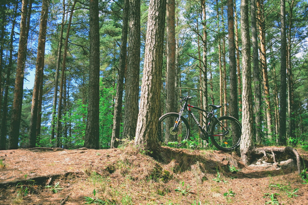 Schwarzes Mountainbike im Wald