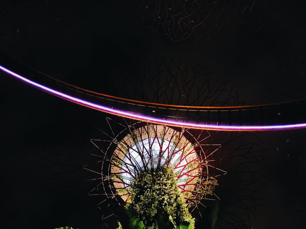 a view of a ferris wheel from below at night