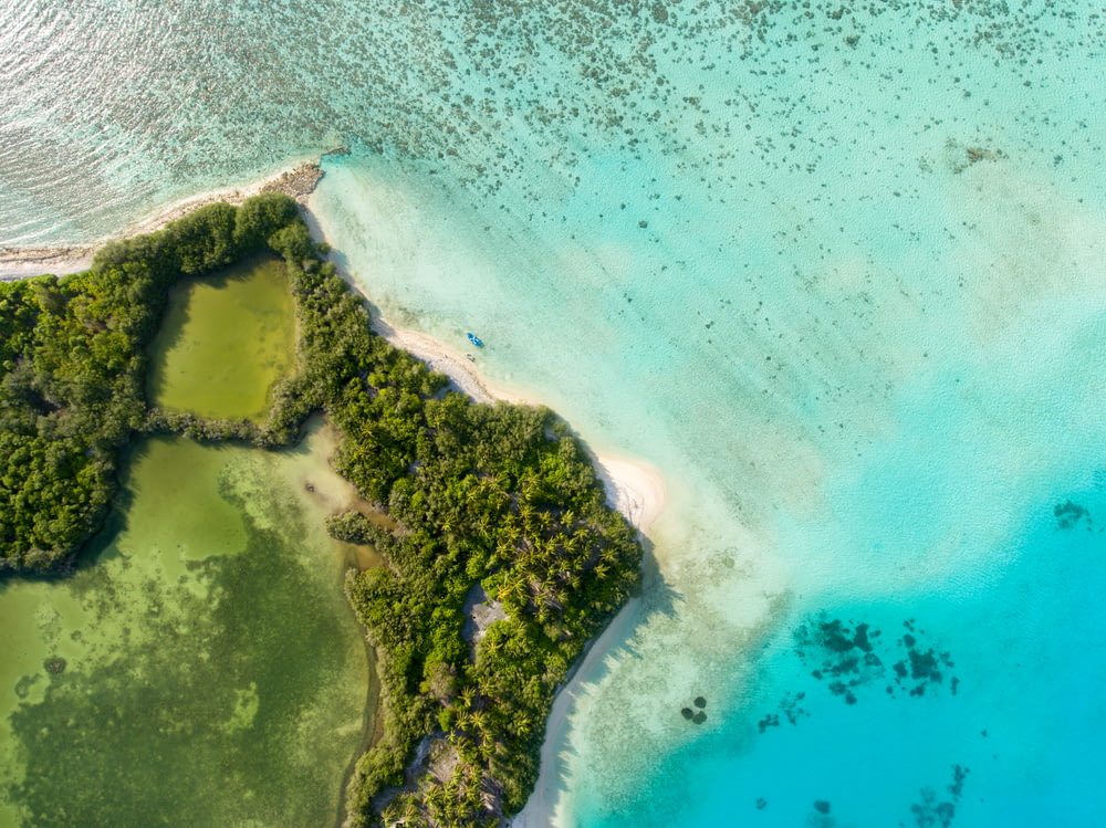 aerial photography of green island