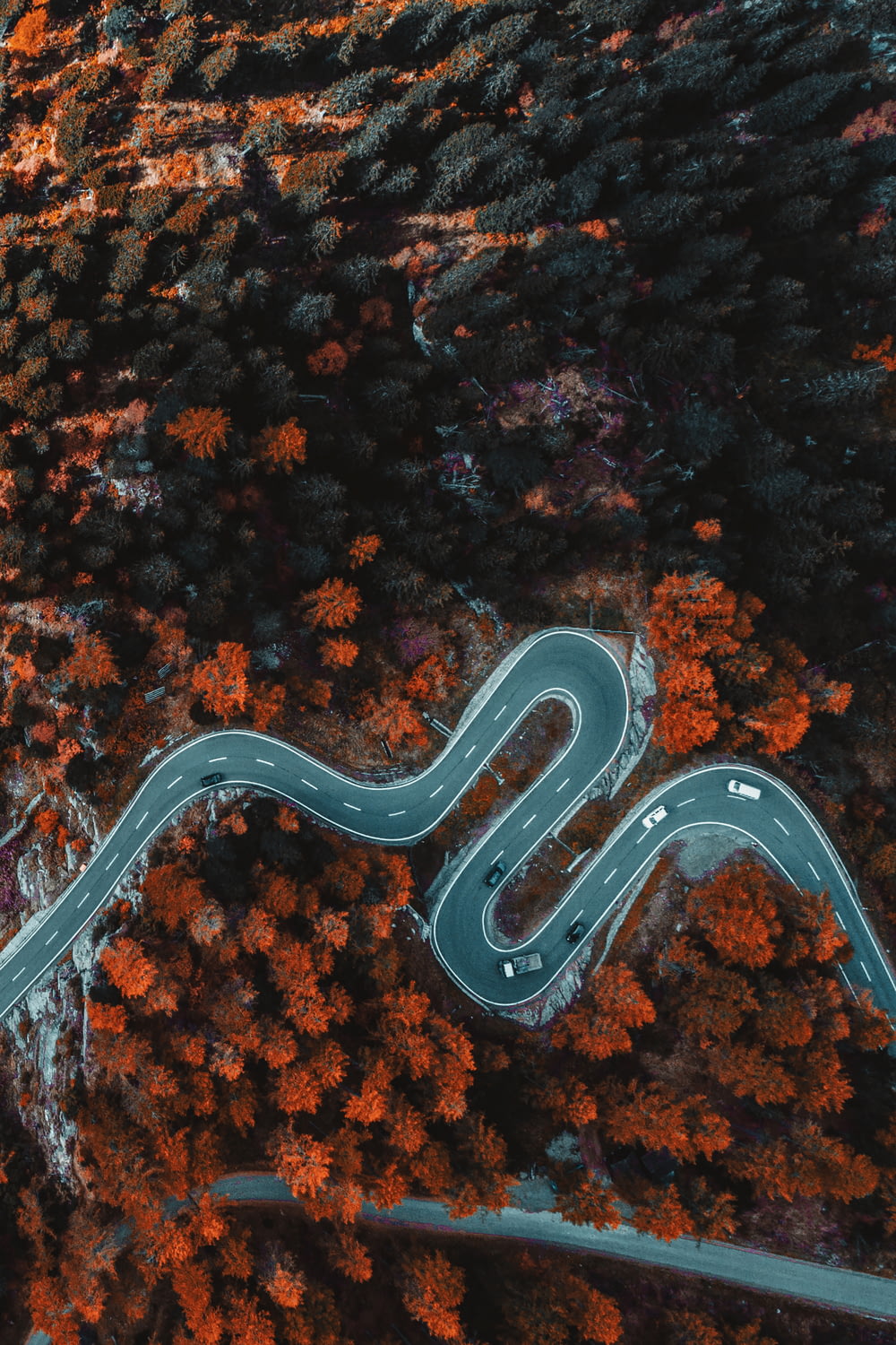 Photographie aérienne d’une route asphaltée entourée d’arbres