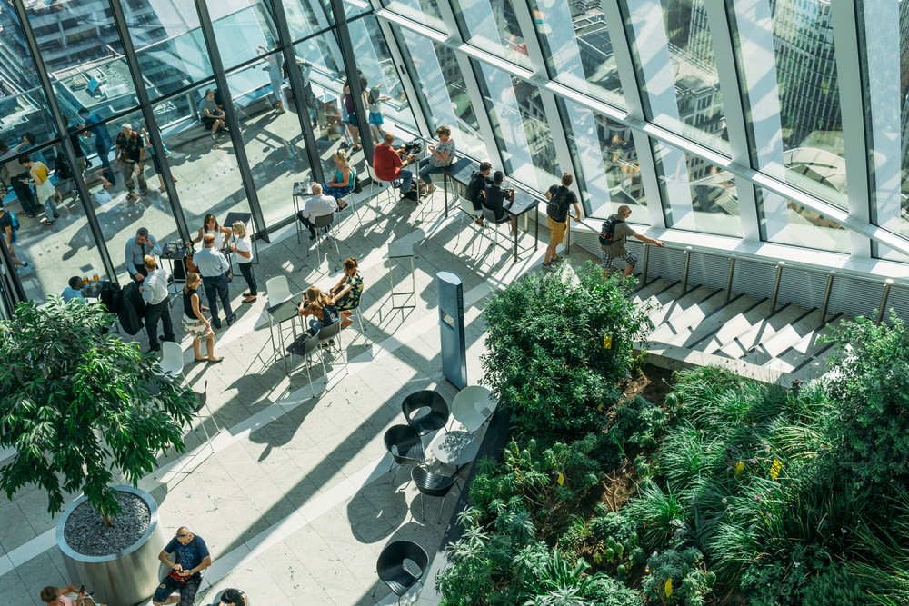 people gather in building beside green-leafed plants