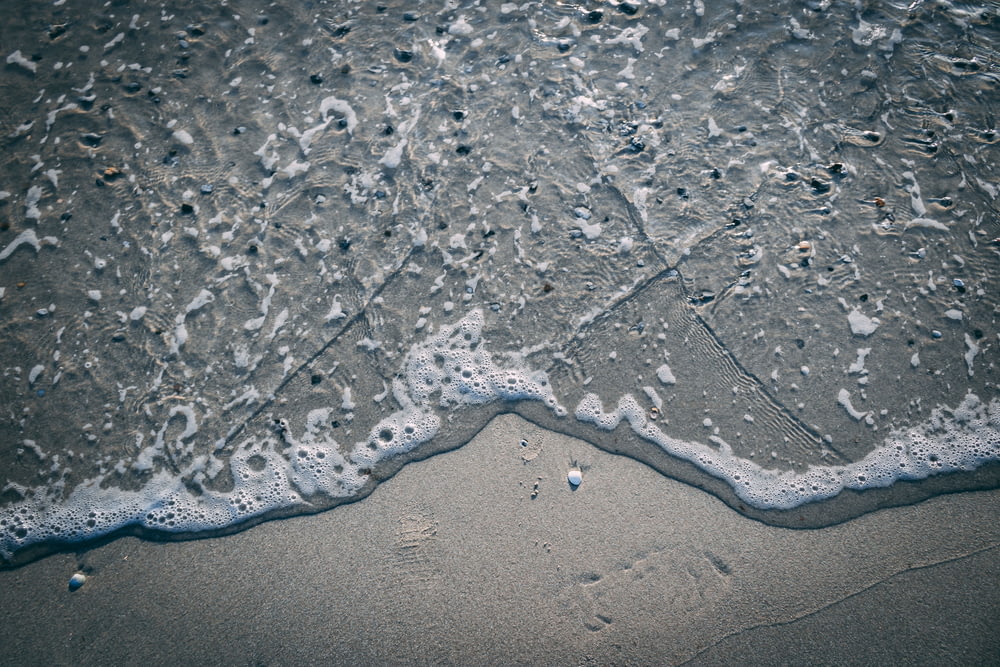 close-up photo of seashore