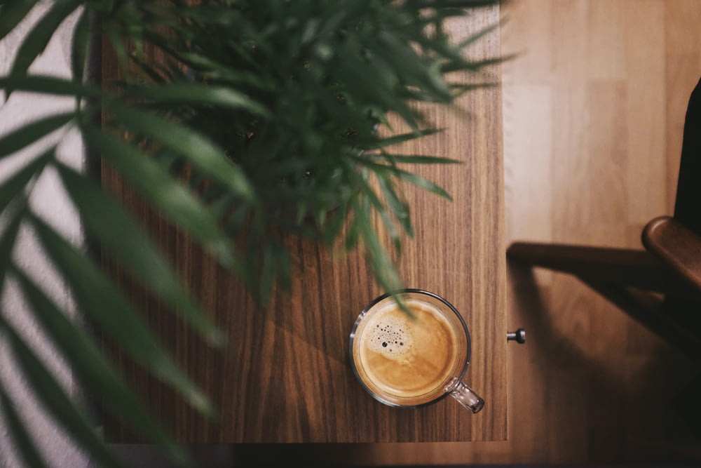 Caffè riempito a metà in tazza di vetro trasparente accanto alla pianta sul tavolo marrone