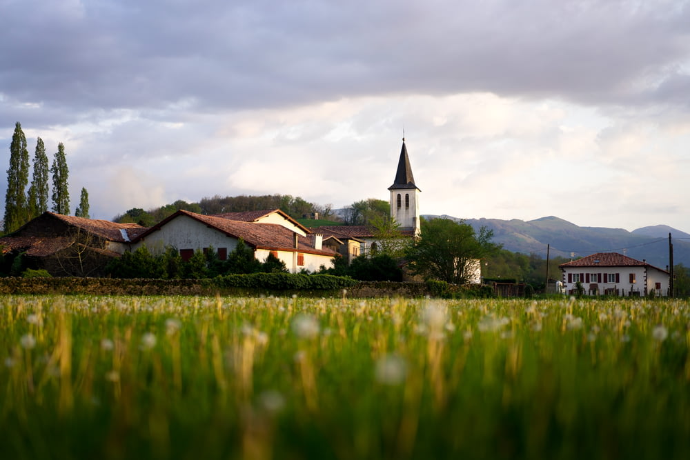 green grass field and houses during daytime