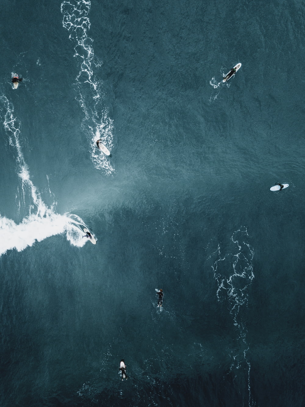 people surfboarding on ocean