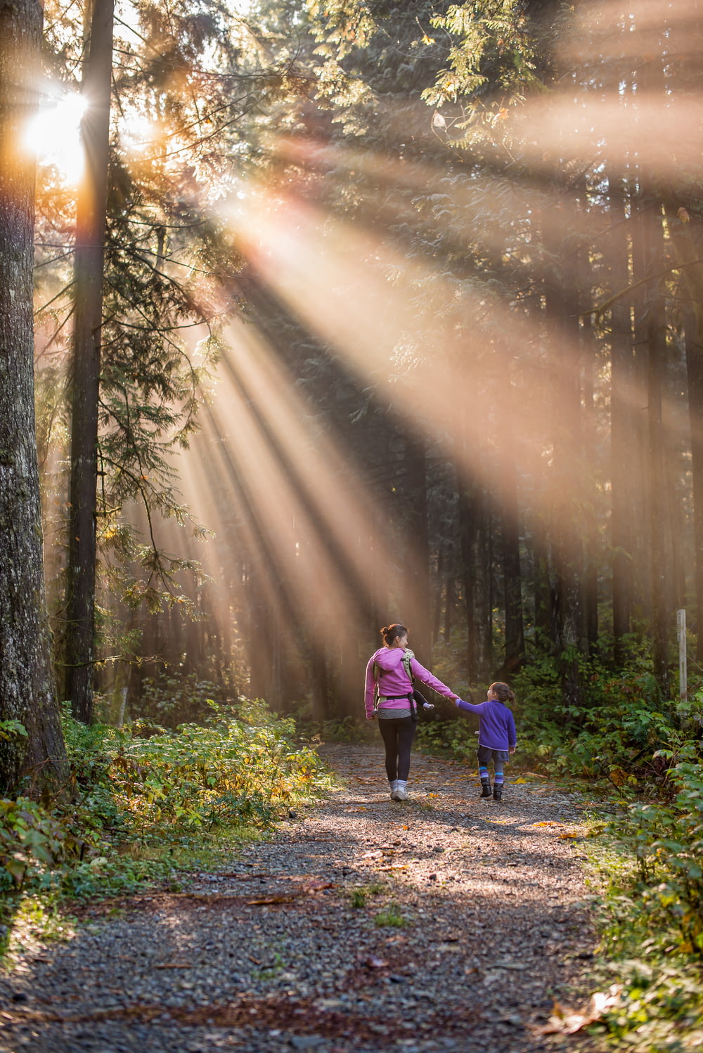 Frau geht mit Kind im Wald spazieren