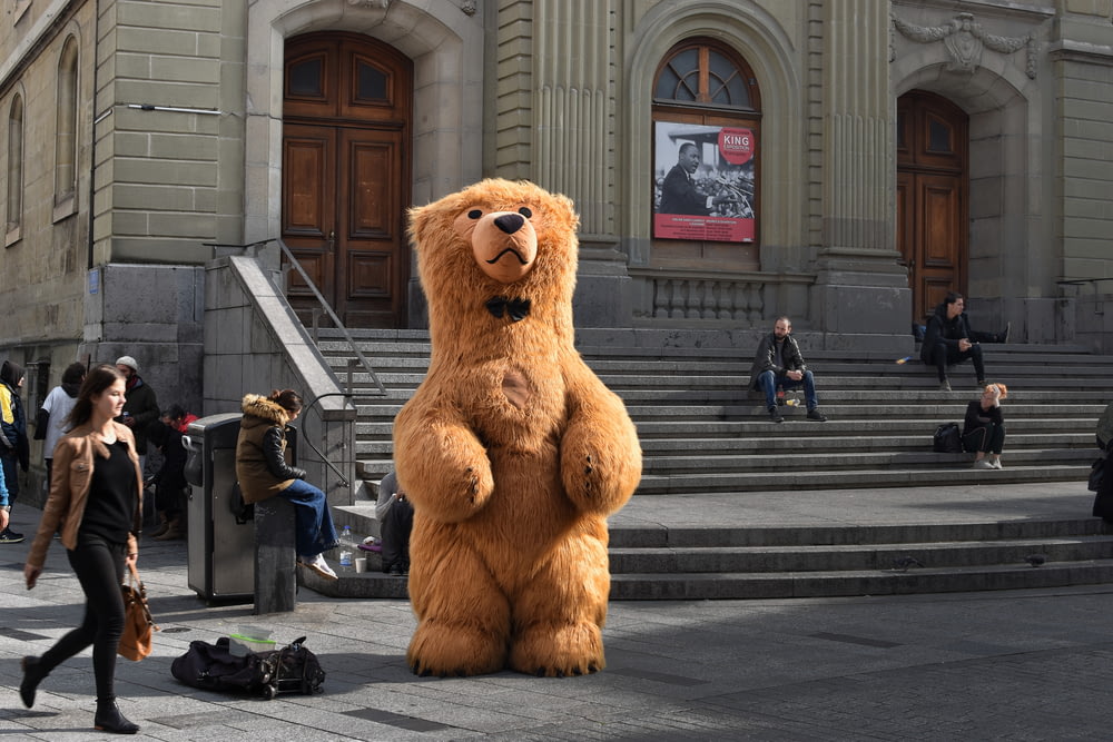 mascota del oso pardo de pie frente al edificio
