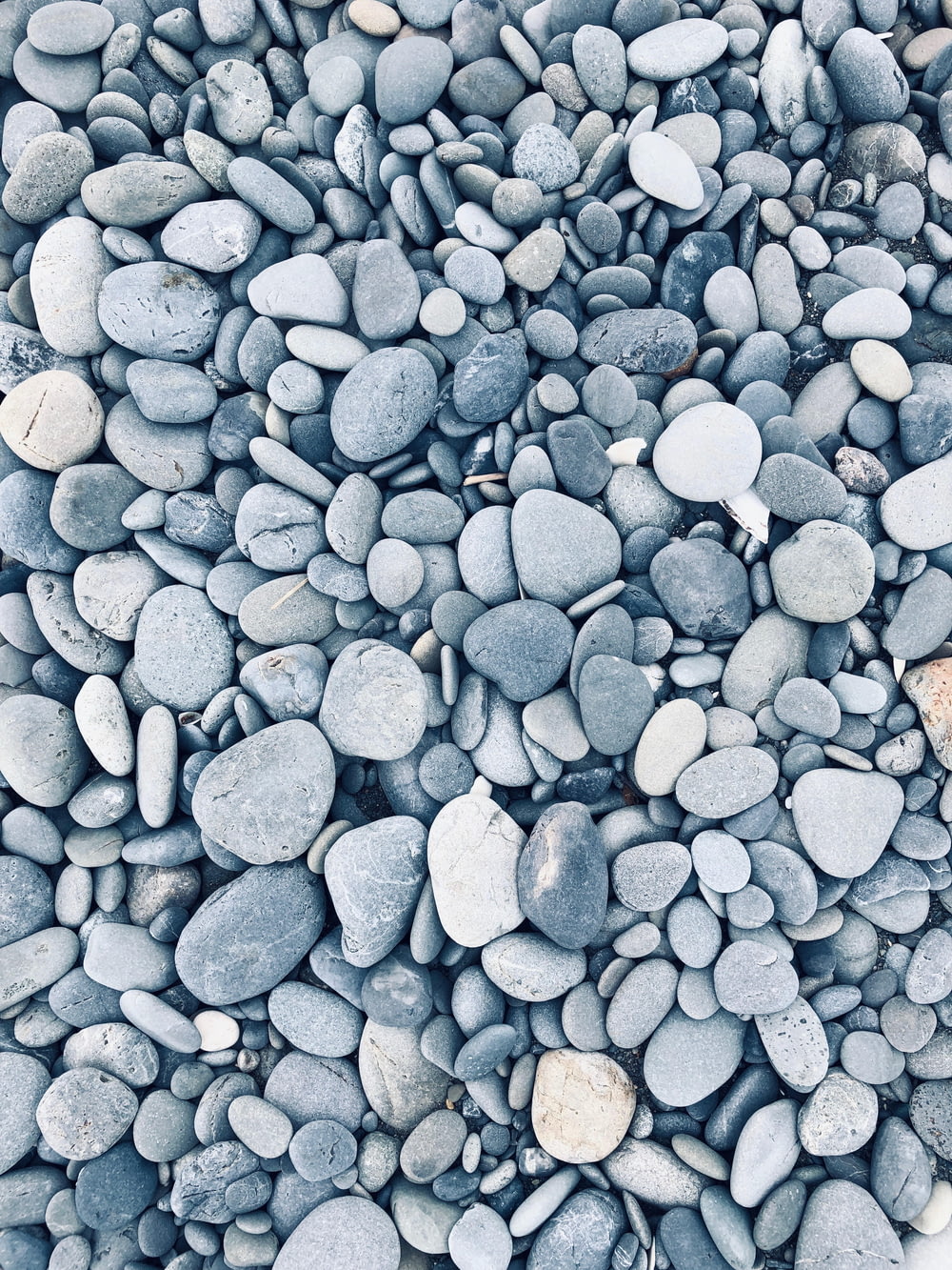 Lote de rocha cinza