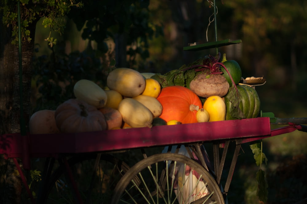 assorted vegetables on cart