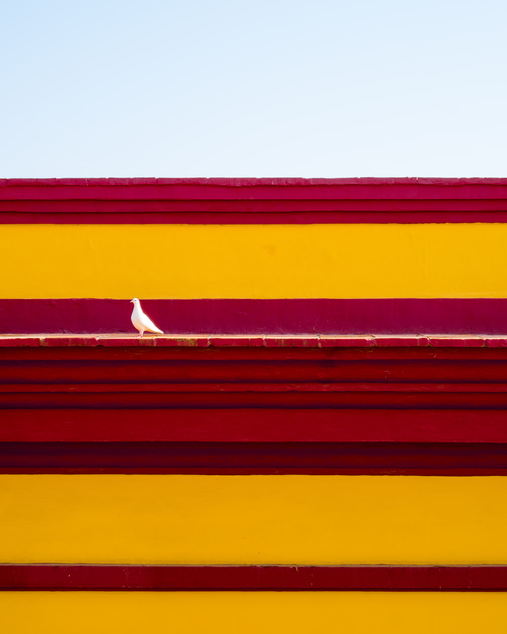 赤と黄色の建物の上に座っている白い鳥